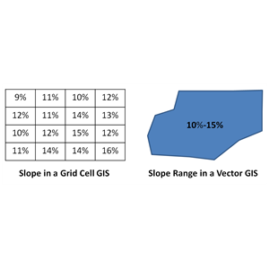 which holds more data raster or vector gis